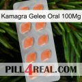 Kamagra Jelly Oral 100Mg 26